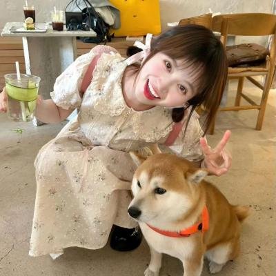 龙行龘龘